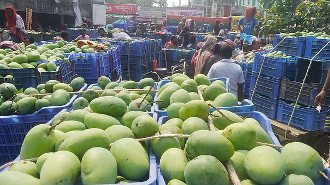 রাজশাহীর অর্থনীতি মূলত আমকেন্দ্রিক প্রতি বছর মে থেকে আগস্ট মাস পর্যন্ত