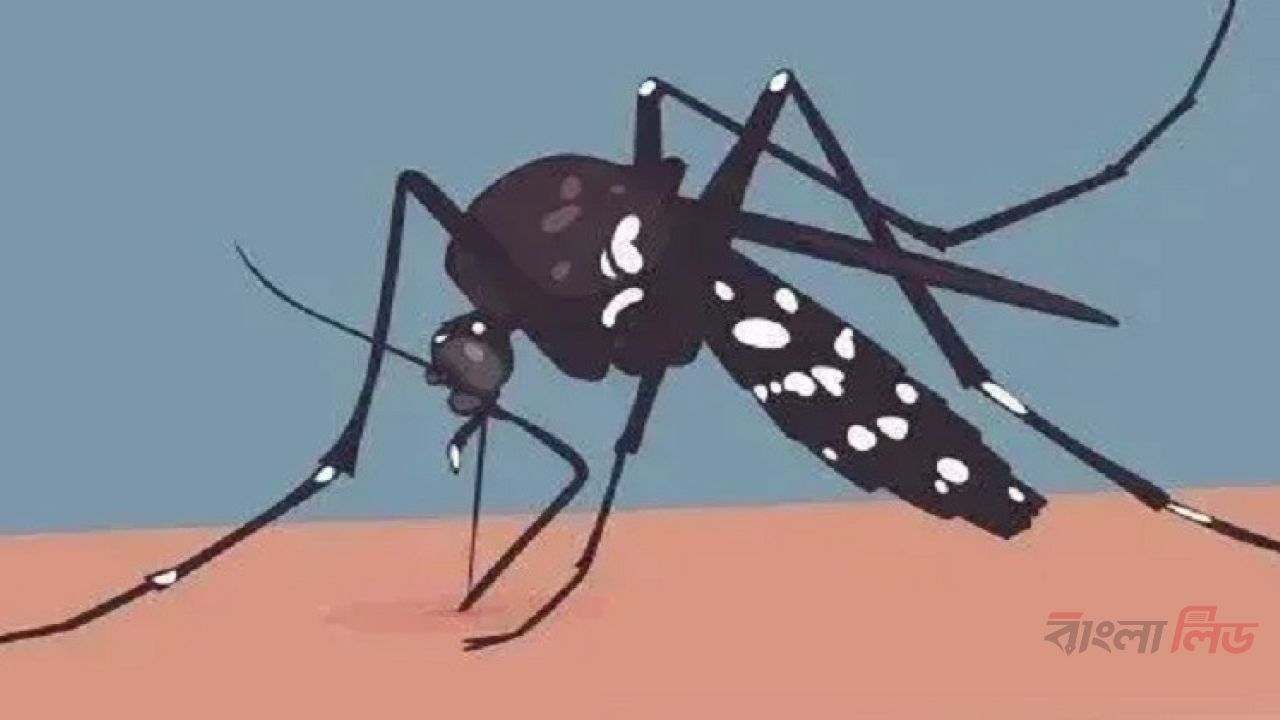 ডেঙ্গুতে ৯ জনের মৃত্যু