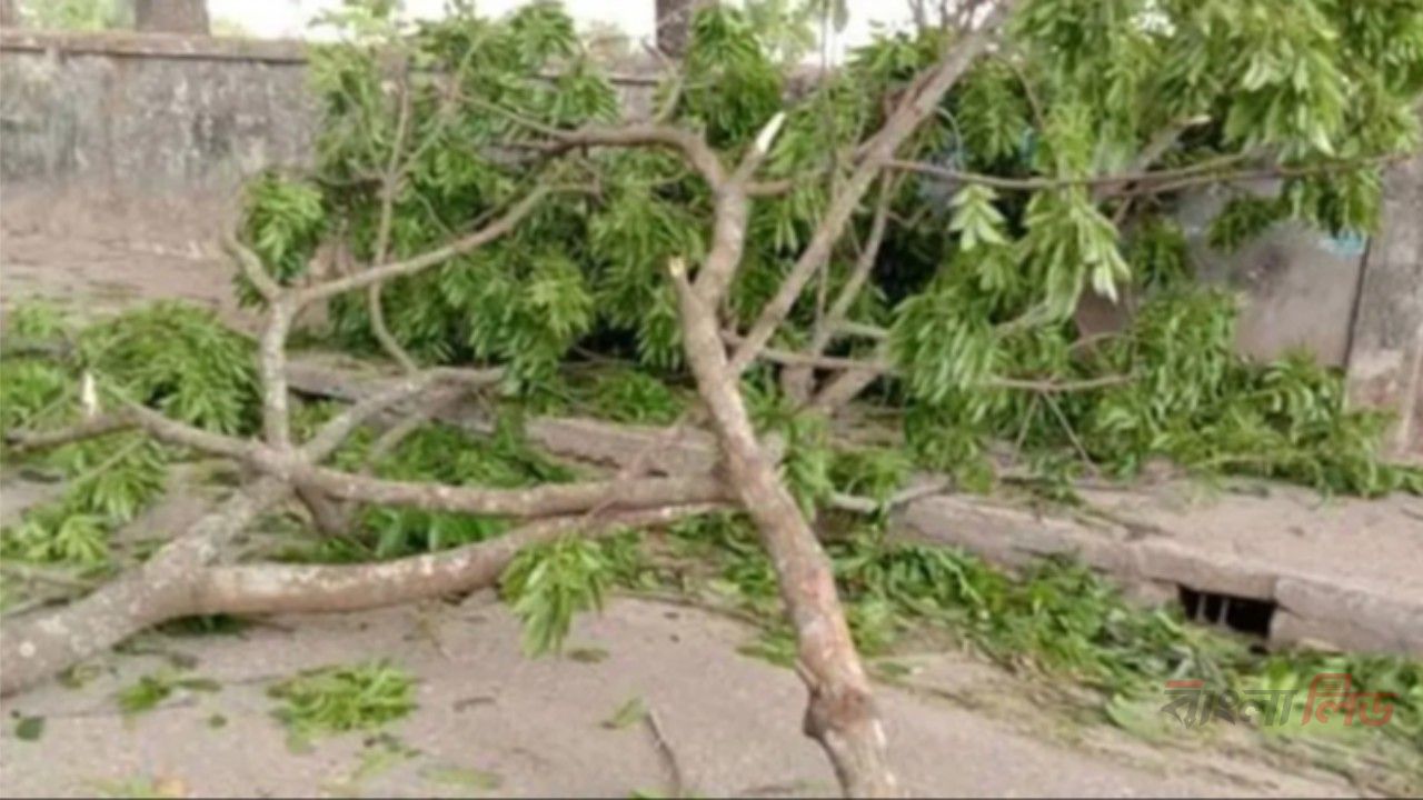  নবাবগঞ্জে গাছের ডাল পড়ে মোটরসাইকেল আরোহী নিহত, আহত শিশু সন্তান
