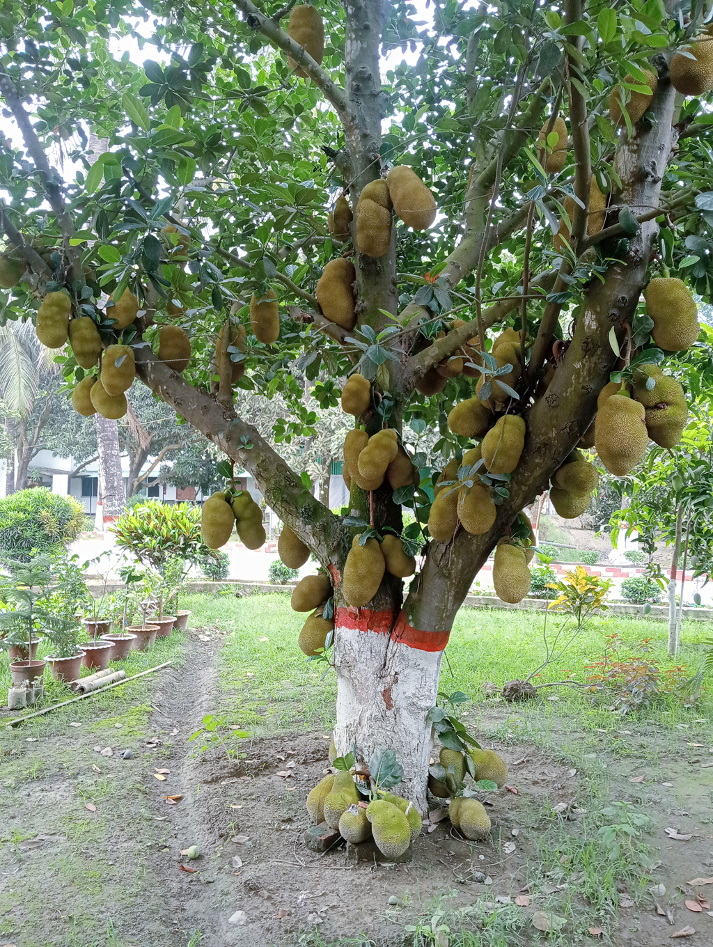দিনের ছবি (১৪ মে, ২০২৬)